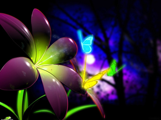 2703 (a): :1600x1200